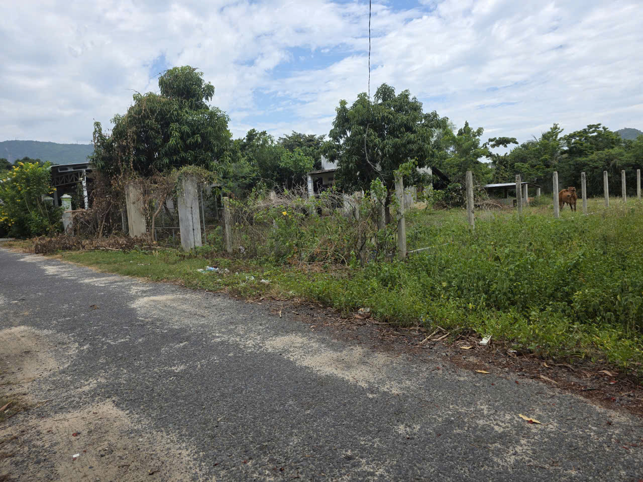 Bán đất 526.1m² ngang 10m giá 1.6 tỷ Xã Cam An