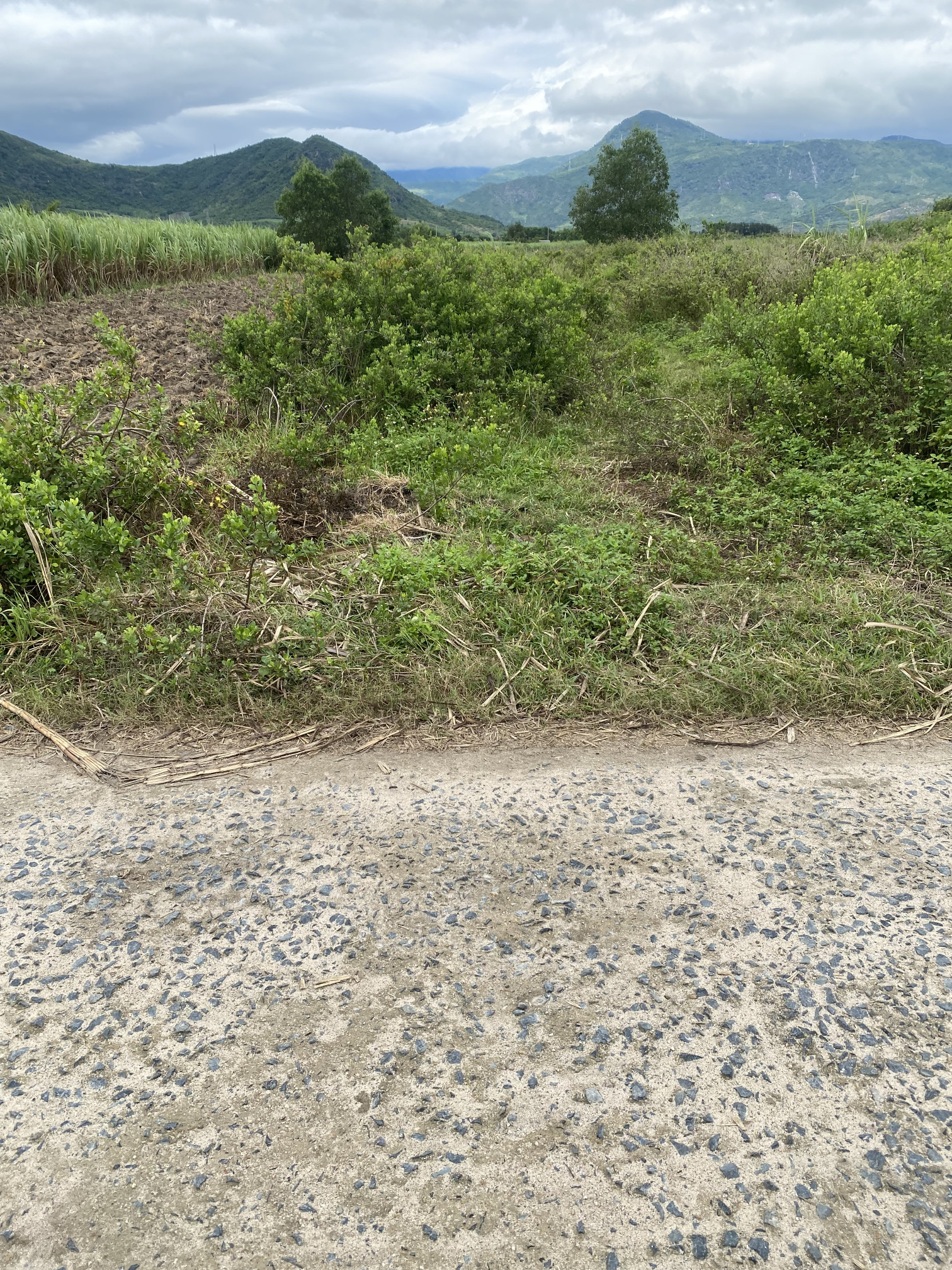 Cần bán gấp lô đất tại xã Cam An Nam cách sân bay 10km