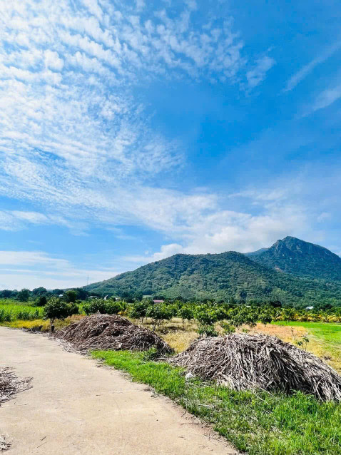 Hạ giá bán nhanh siêu phẩm tại Cam An Nam