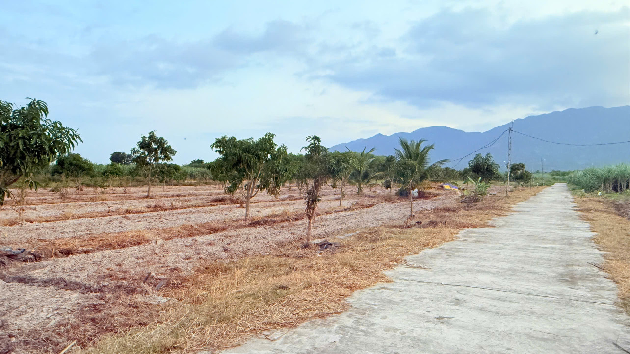 CAM AN NAM -- 975 M2 -- 26M NGANG -- 2045 QUI HOẠCH ĐẤT Ở -- GIÁ CHỈ 600 TRIỆU