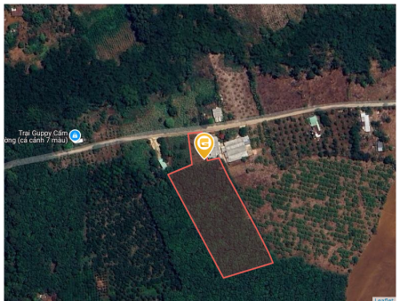 Bán đất 9057m² ngang 60m giá 20 tỷ tại Xã Cẩm Đường Huyện Long Thành