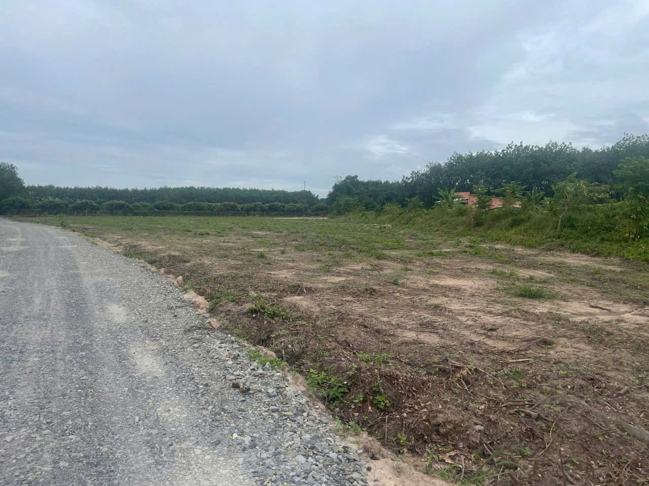 ☘️ 240TR, ĐẤT FULL THỔ CƯ GIÁ RẺ TẠI GÒ DẦU