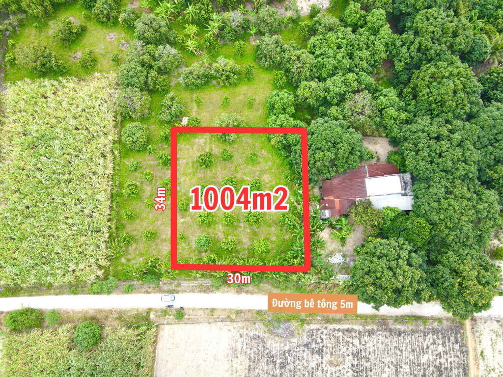 Đất an toàn Cam Hiệp Nam 1004m2 mặt tiền 30m có thổ cư, sẵn vườn xoài tơ giá chỉ 113tr/m ngang