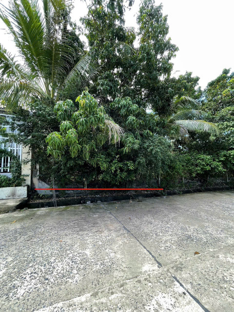 KHU AN TOÀN BÀN CỜ CAM HIỆP NAM - CAM LÂM NGANG 7M CÓ THỔ CƯ CHỈ 200TR/MN