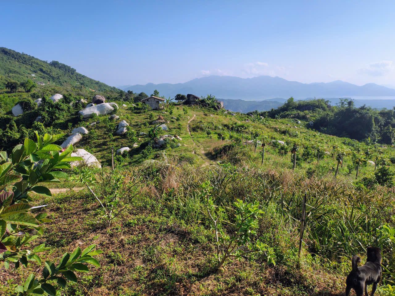 Bán khu vườn view biển Bãi Dài, Cam Ranh, Khánh Hoà