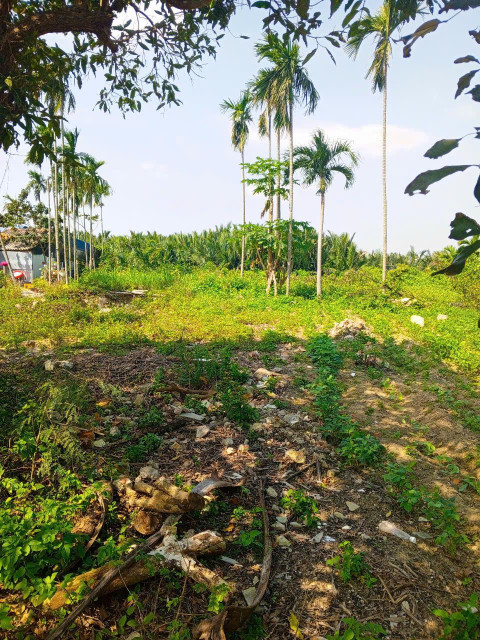 Chủ kẹt tiền cần bán lô đất tại MT đường DX 017 có 1000 m² đất ở., Cẩm Thanh giá 18 tỷ