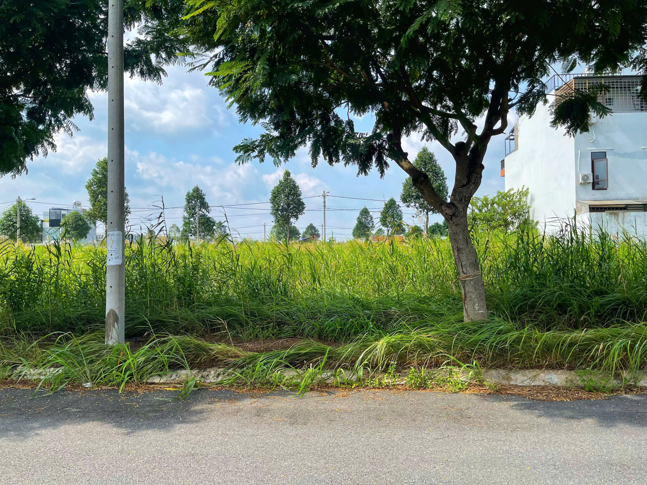 Bán đất khu dân cư Long Hậu, 80m², giá 2.1 tỷ, đường 12m
