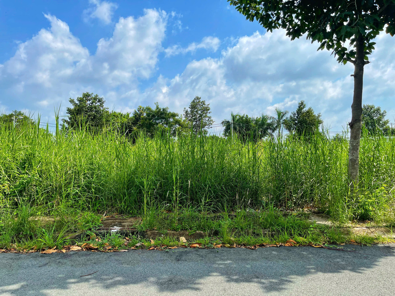 Bán đất khu saigon village 80m², đường 12m, giá 2.35 tỷ Xã Cần Giuộc