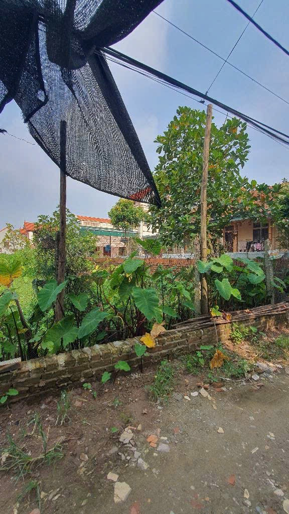🤩ĐỈNH NÓC: Cát Quế  - MT 6m đẹp thoáng - Ô tô vào đất