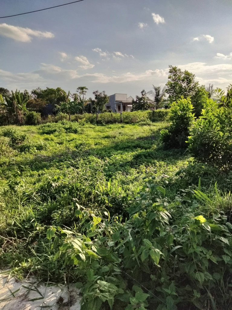 Bán đất 300m² ngang 10m giá 1.99 tỷ Xã Châu Pha