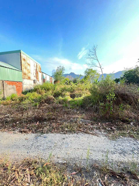 Bán đất 236m² ngang 10m giá 1.18 tỷ Xã Châu Pha
