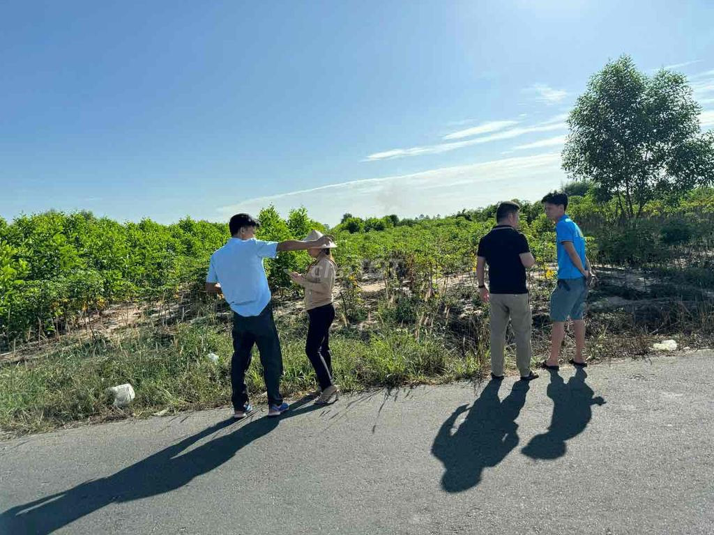 Bán đất 500m² ngang 10m giá 2.2 tỷ Xã Châu Pha