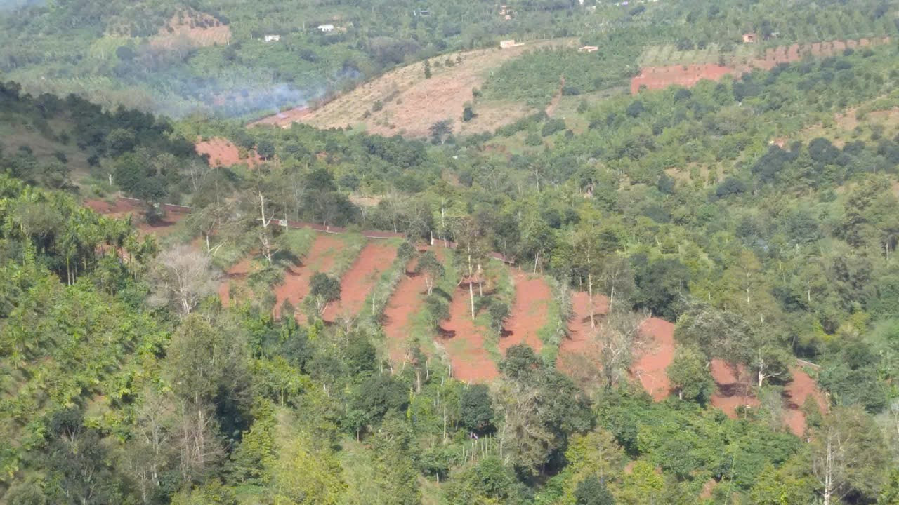 Bán Rẫy 2ha - Katy1 - Giá 2 tỷ