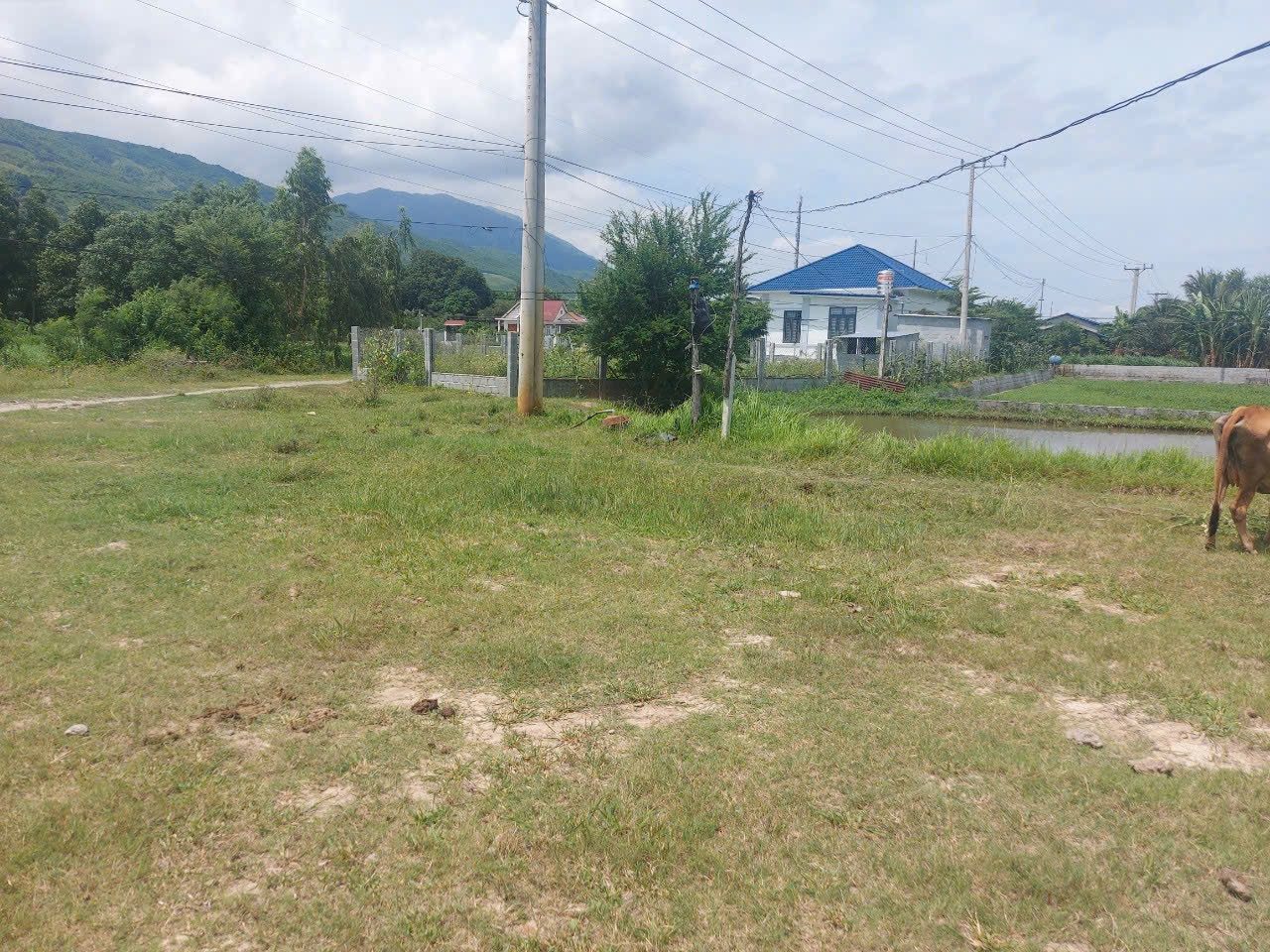 Bán Vừơn QL1A - Nam Vịnh CR - KH