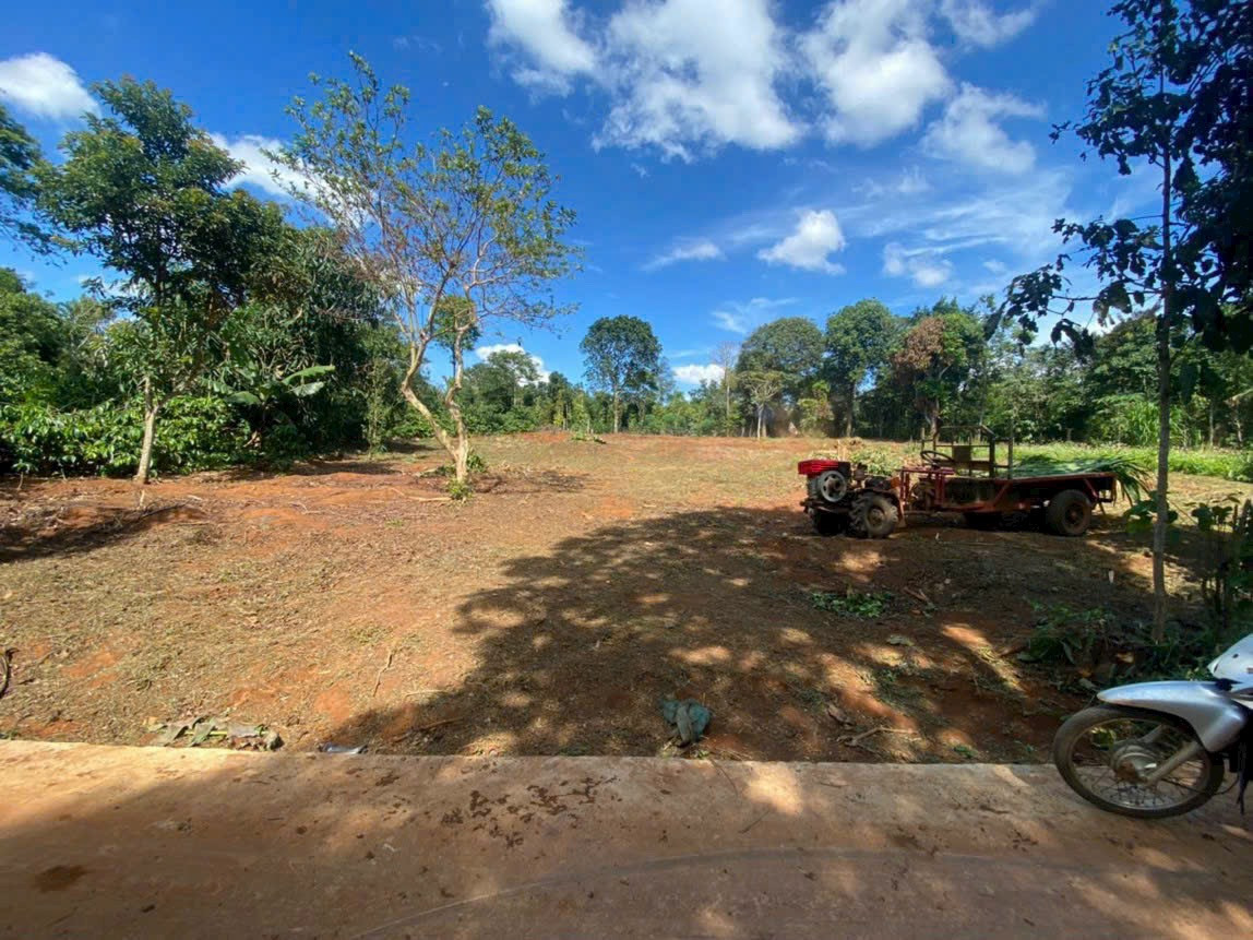 Bán đất 254.9m² giá 240 triệu tại Xã Cư Bao Thị xã Thị Xã Buôn Hồ