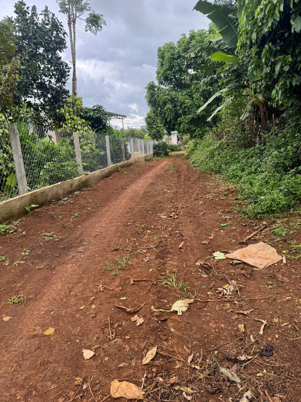 Bán đất 200m² giá 265 triệu tại Xã Cư Bao Thị xã Thị Xã Buôn Hồ