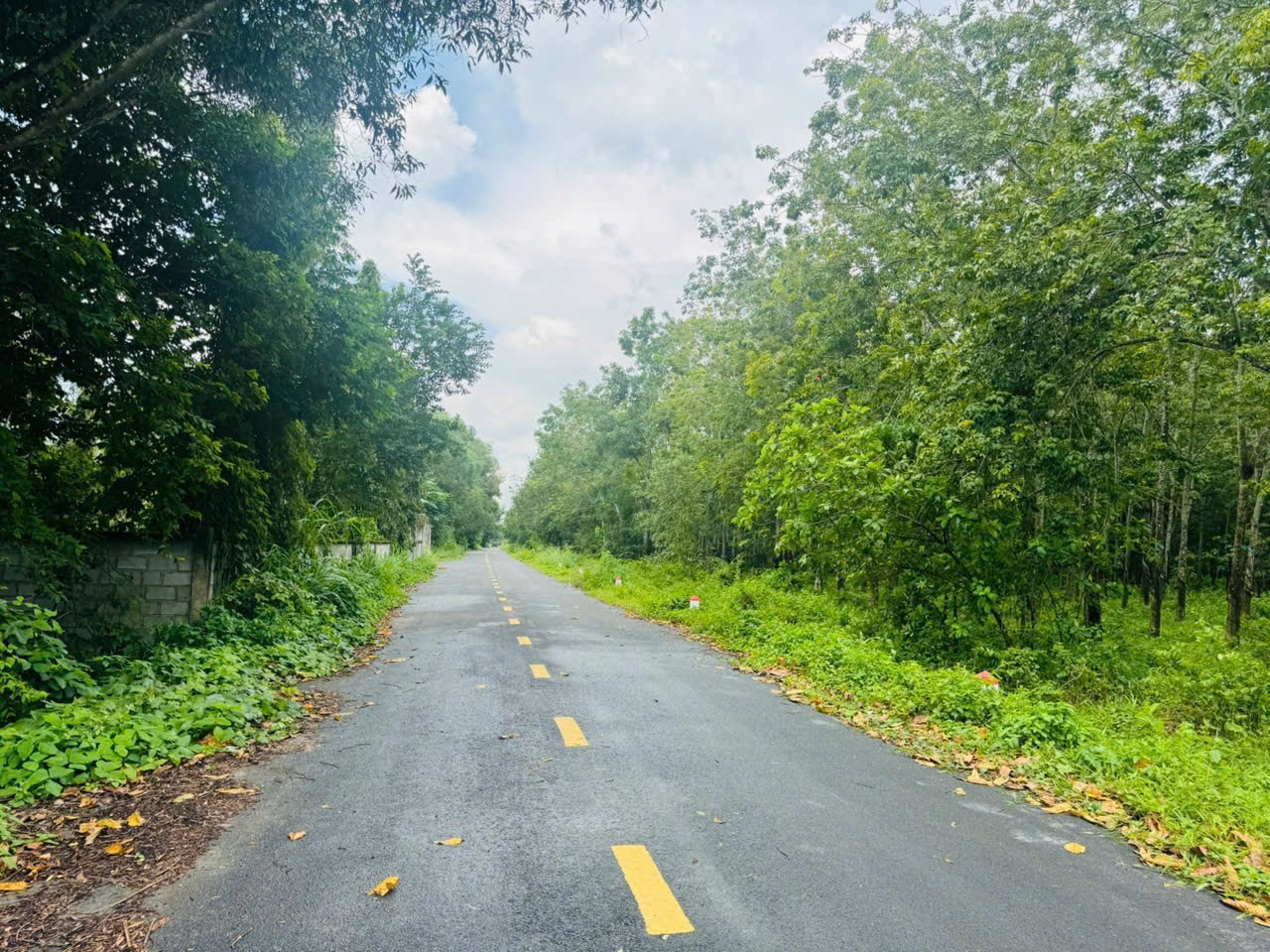 Bán đất Củ chi giá tốt