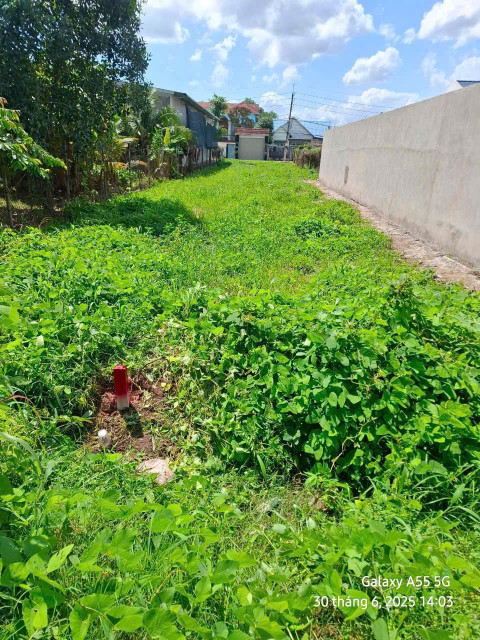 (L746) Đất đẹp 1/ Nguyễn Thị Lắng, xã Tân Phú Trung, dt 155m2, đất ở hiện hữu, giá 2 tỷ 750