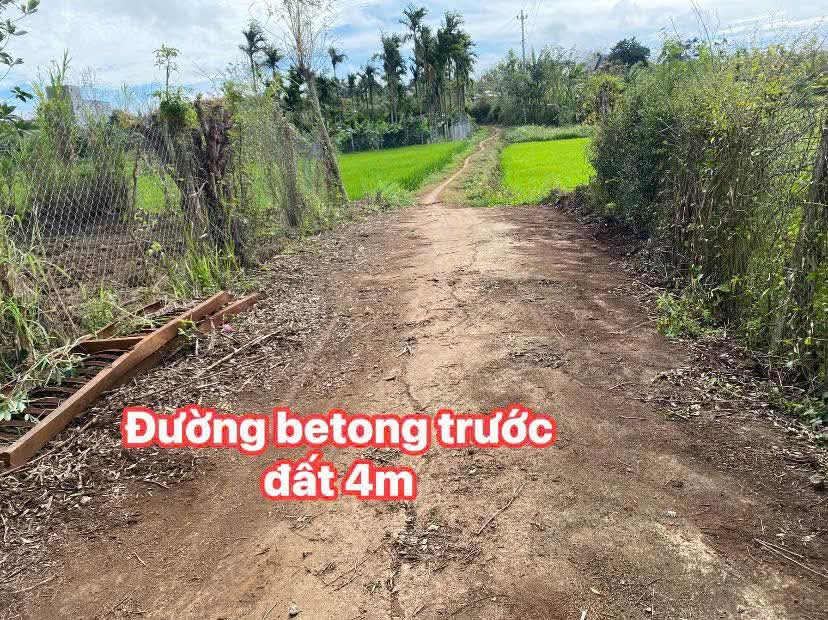 Bán đất thổ cư 324m² 268 triệu tại Xã Cư Ê Wi Huyện Cư Kuin