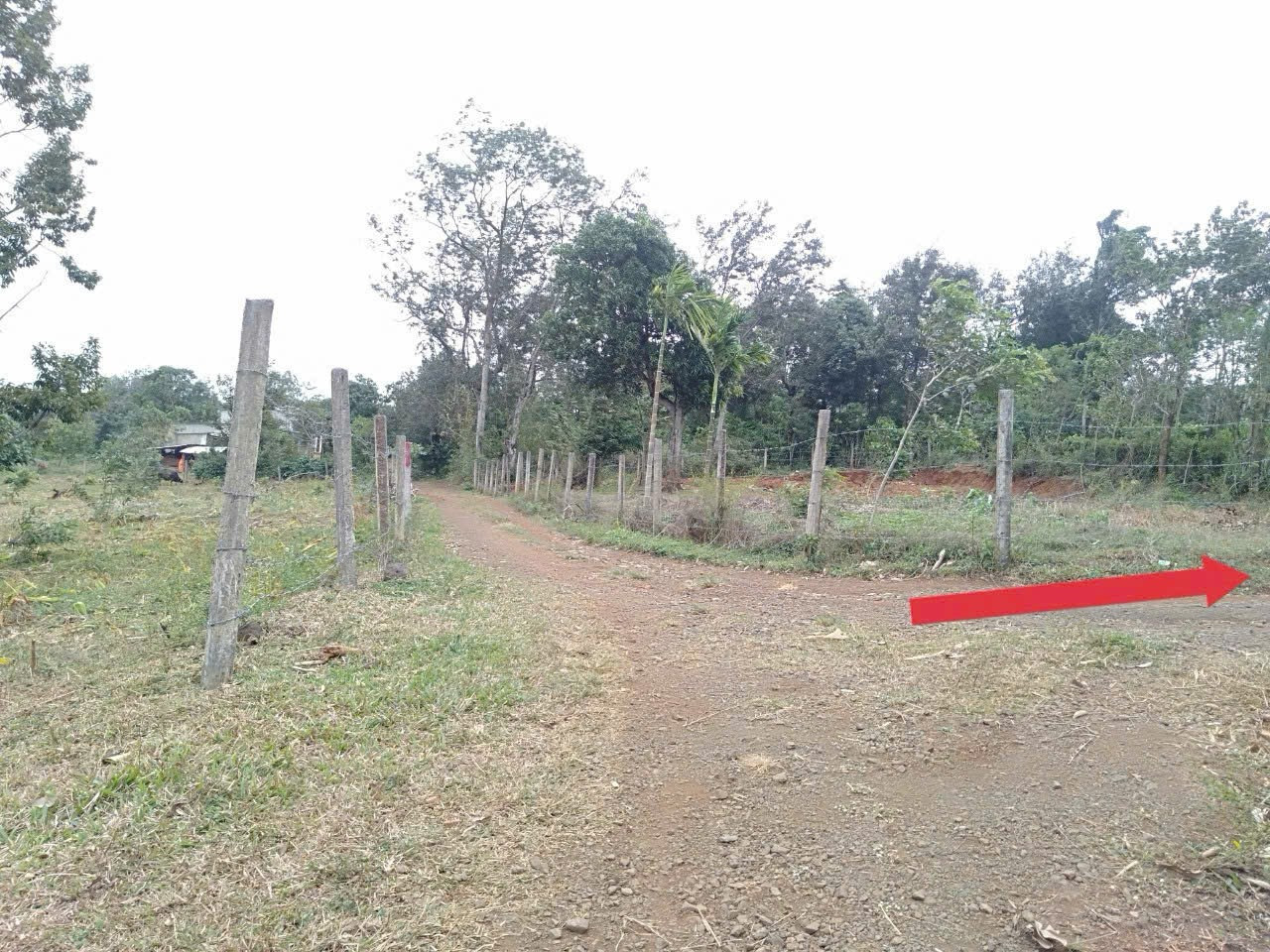 Bán đất 223m² 248 triệu tại Xã Cư Ê Wi Huyện Cư Kuin