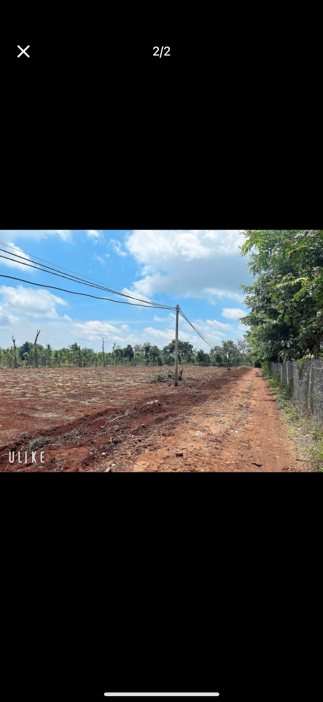 Bán đất 2000m² 725 triệu tại Xã Cư ÊBur Thành phố Buôn Ma Thuột