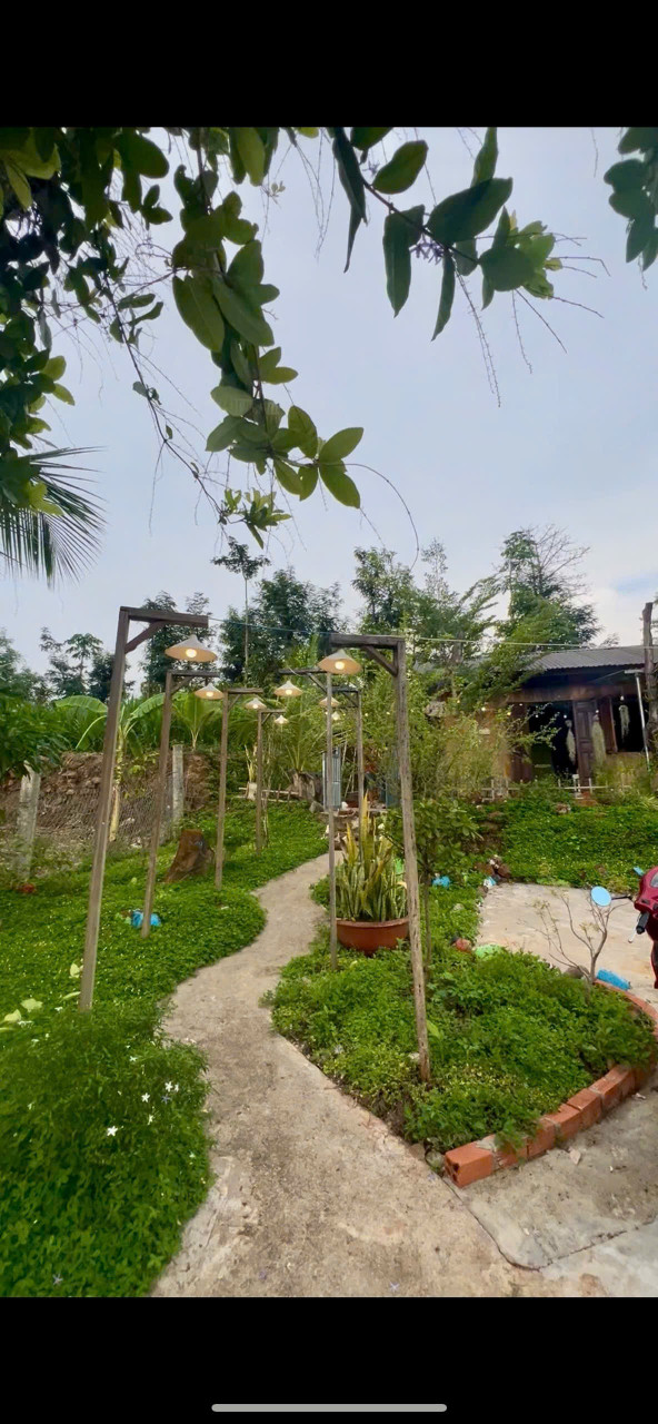 Bán đất 512.6m² ngang 14m giá 668 triệu tại Xã Cư ÊBur Thành phố Buôn Ma Thuột
