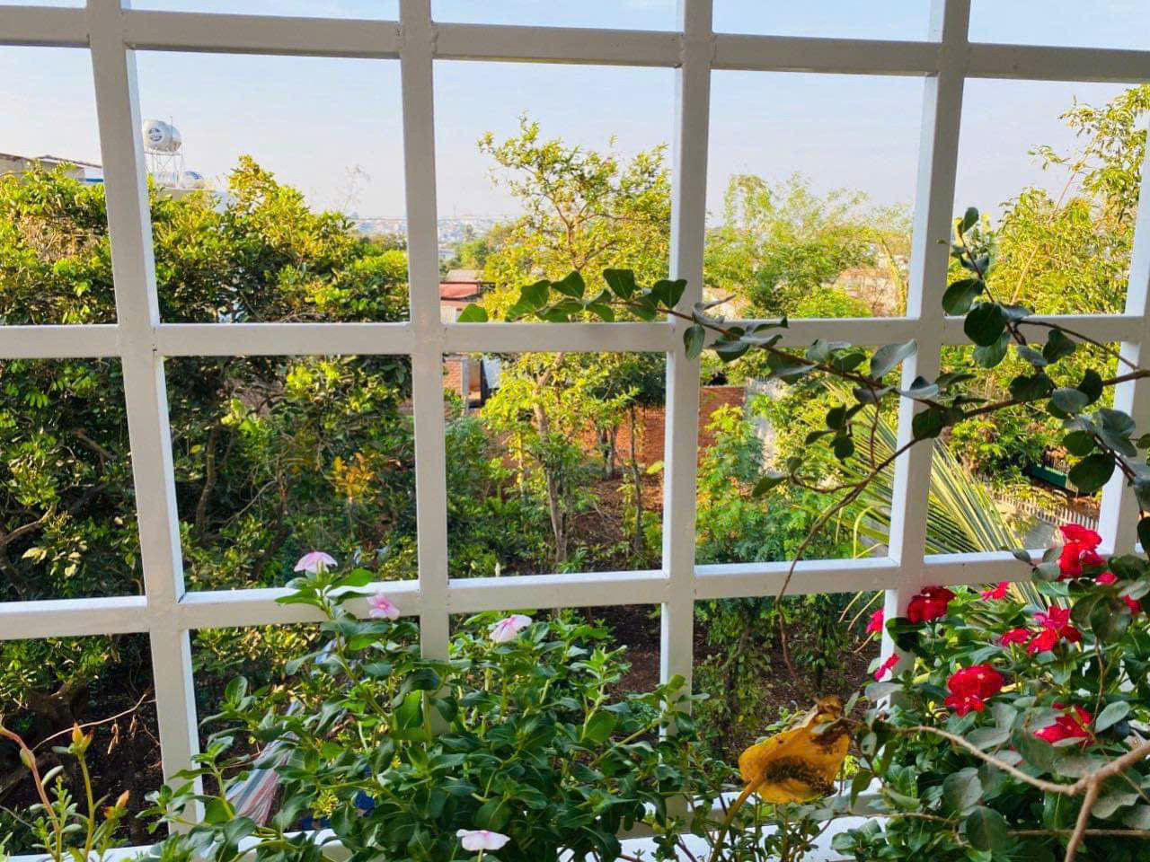 NHÀ MẶT TIỀN A 6 PHẠM NGŨ LÃO