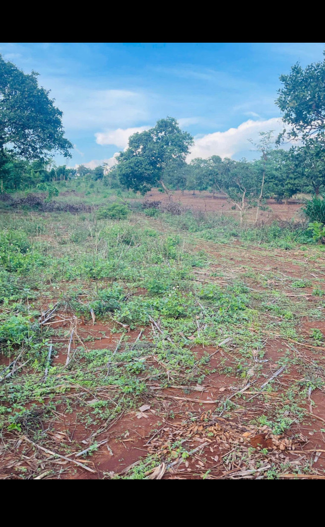 Bán đất 1670m² giá 550 triệu Xã Cư M’gar