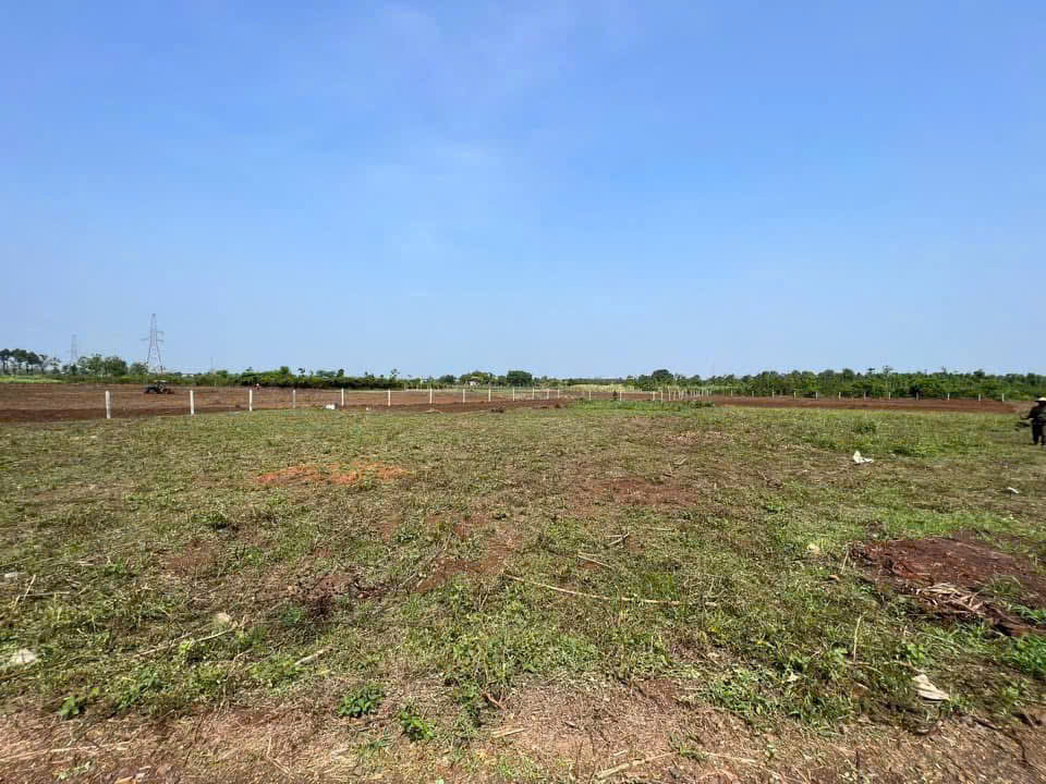 Bán đất 5000m² 690 triệu tại Xã Cư M'gar Huyện Cư M'gar