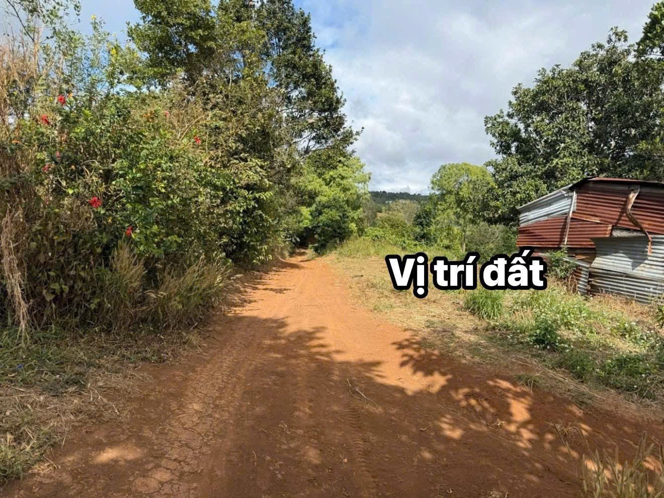Bán đất 4117.3m² giá 639 triệu tại Xã Cư Né Huyện Krông Búk