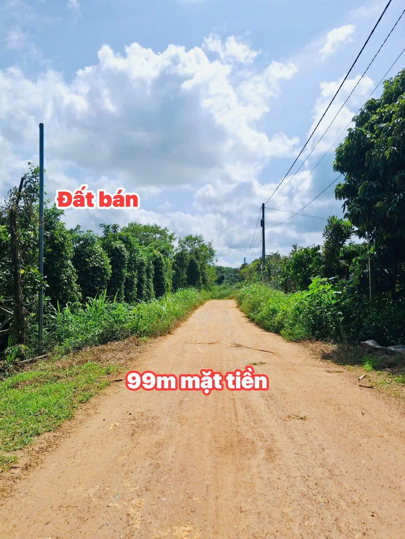 Cư Ni- Ea kar dt 7790m2 sẵn 400m2 thổ cư đata có sầu có tiêu giá chỉ 1.49 tỷ