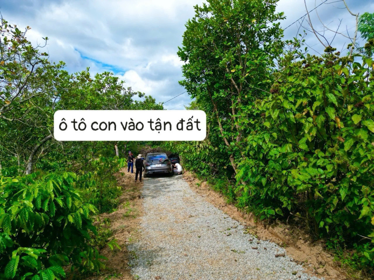 Bán đất 300m² ngang 5m giá 115 triệu Xã Cư Pơng