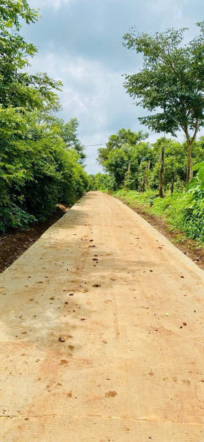 Bán đất 301m² 189 triệu tại Xã Cư Pơng Huyện Krông Búk