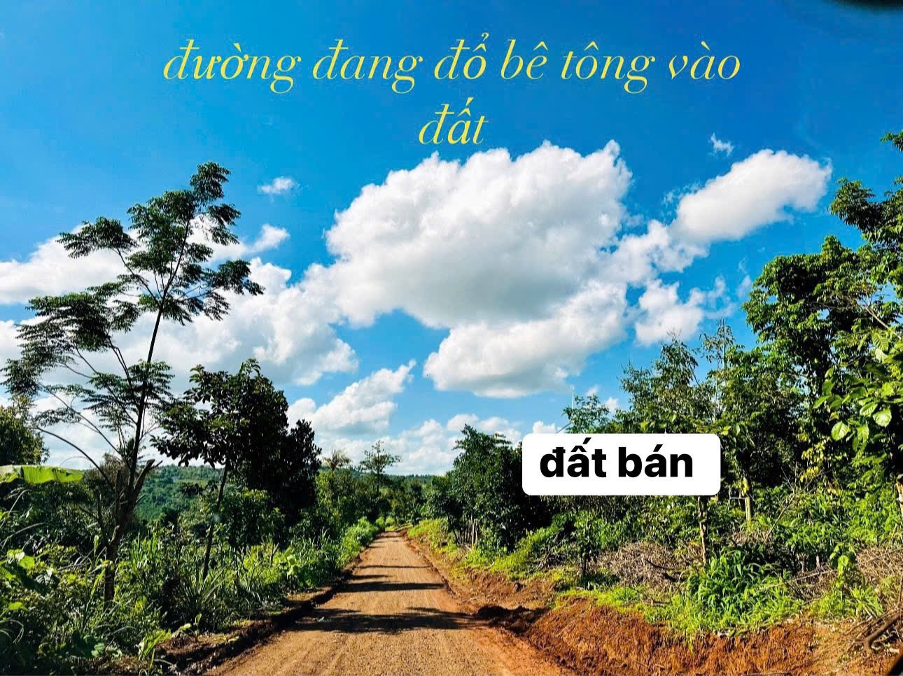Bán đất thổ cư 446.5m² ngang 10m giá 259 triệu tại Xã Cư Pơng Huyện Krông Búk