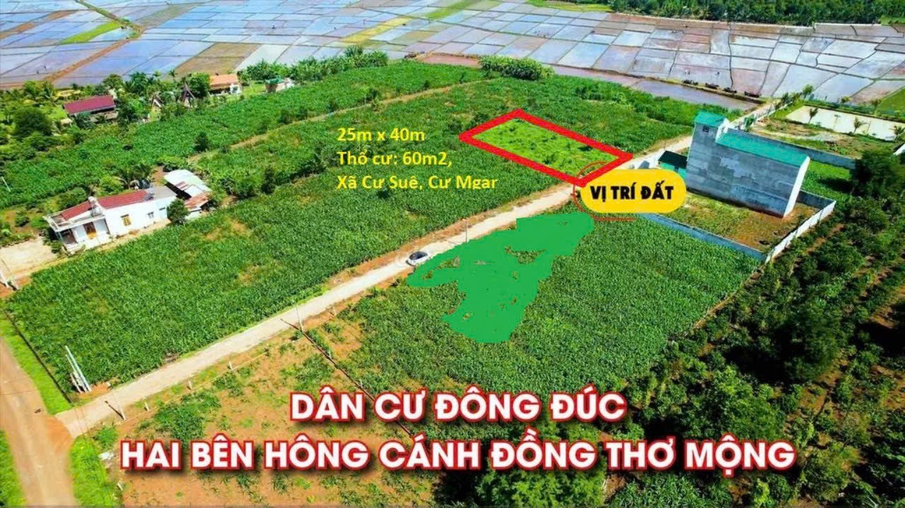 Bán đất 999.4m² 830 triệu tại Xã Cư Suê Huyện Cư M'gar