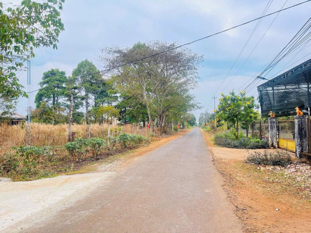 ĐẤT THÔN 3 CƯ SUÊ