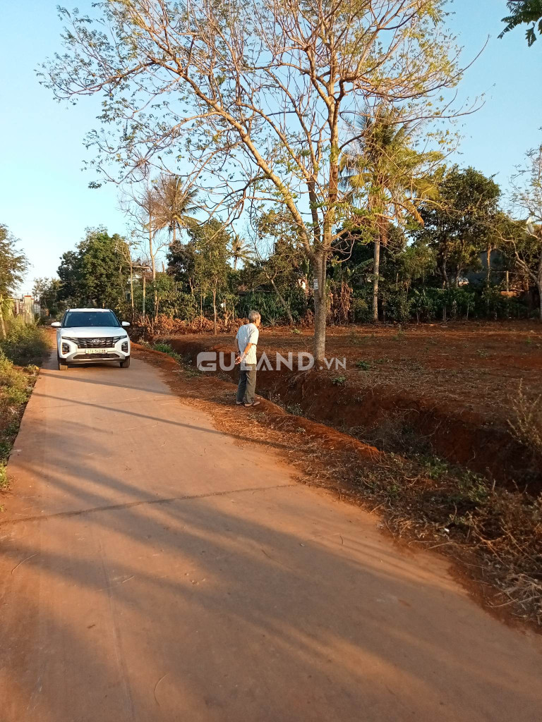 2 LÔ CƯ SUÊ- MT BÊ TÔNG- GIÁ BÁN 90/1 m TL nhẹ