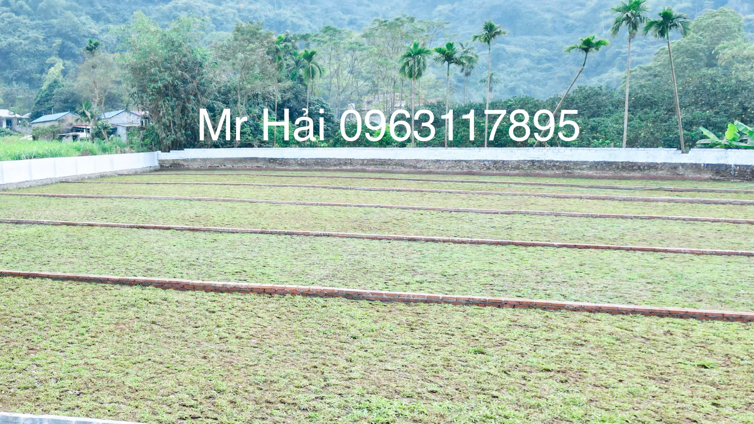 ĐẤT CƯ YÊN – DIỆN TÍCH LỚN, GIÁ NHỎ
