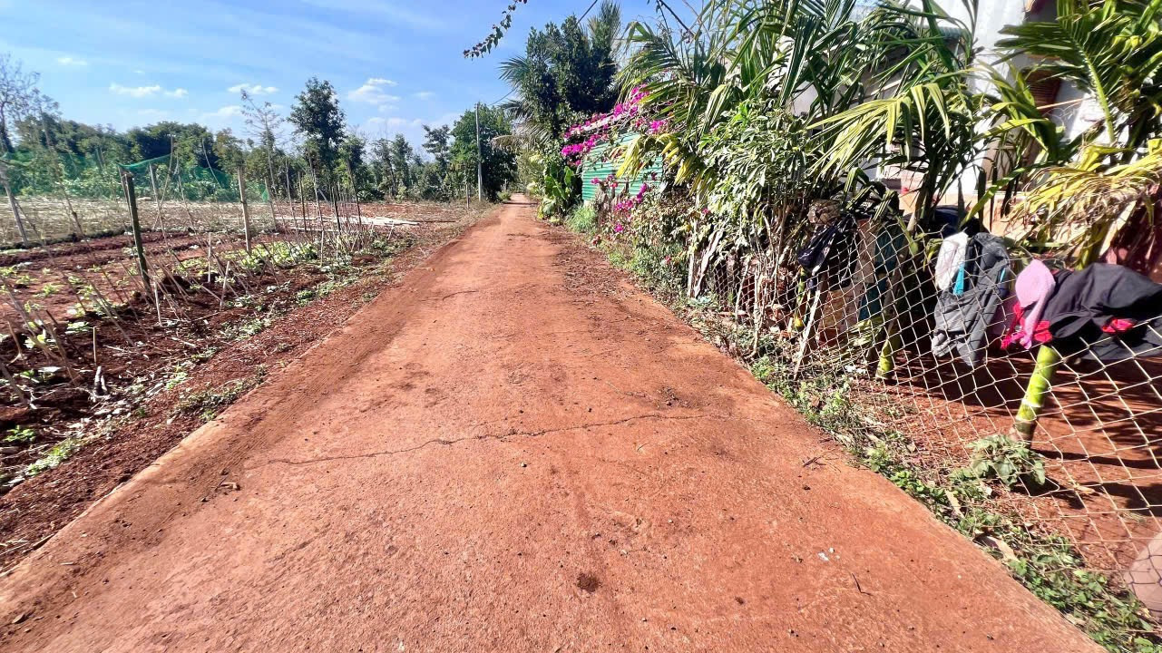 Bán đất 115m² ngang 5m giá 260 triệu Xã Cuôr Đăng