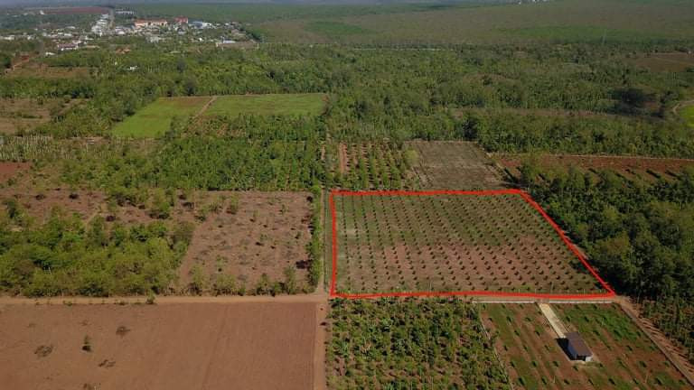 Bán  đất nông nghiệp 10155m² , giá 5.5 tỷ tại, Xã Cuor Đăng, Huyện Cư M'gar, Đắk Lắk