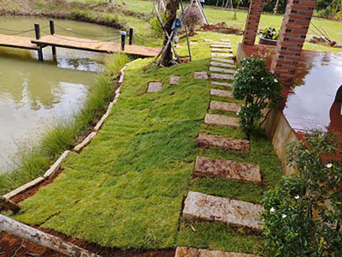 Cần bán lỗ khu vườn tuyệt đẹp ngay khu dân, có suối chảy bao quanh đất.