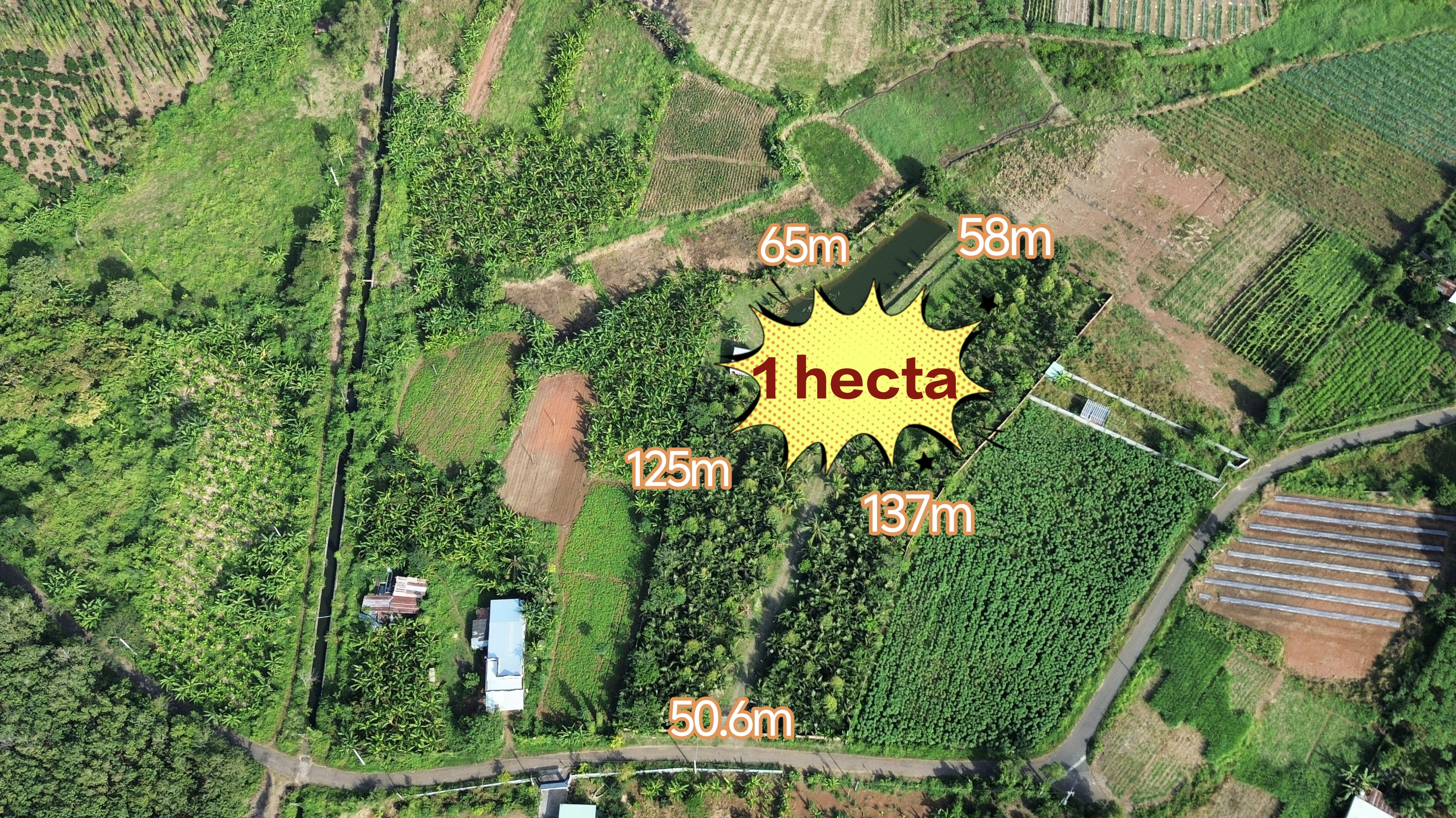 1 hecta view nghĩ dưỡng Hồ Đá Bàng