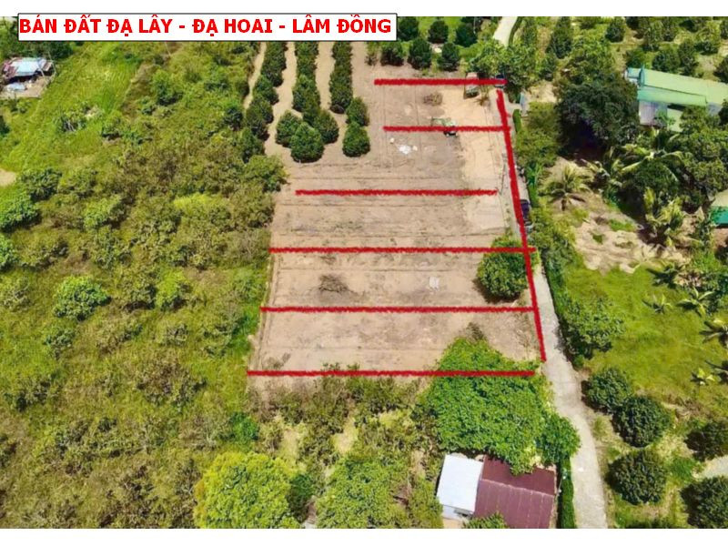 Bán đất Đạ Lây, Đạ Hoai, Lâm Đồng giá chỉ 279tr/ lô sổ sẵn