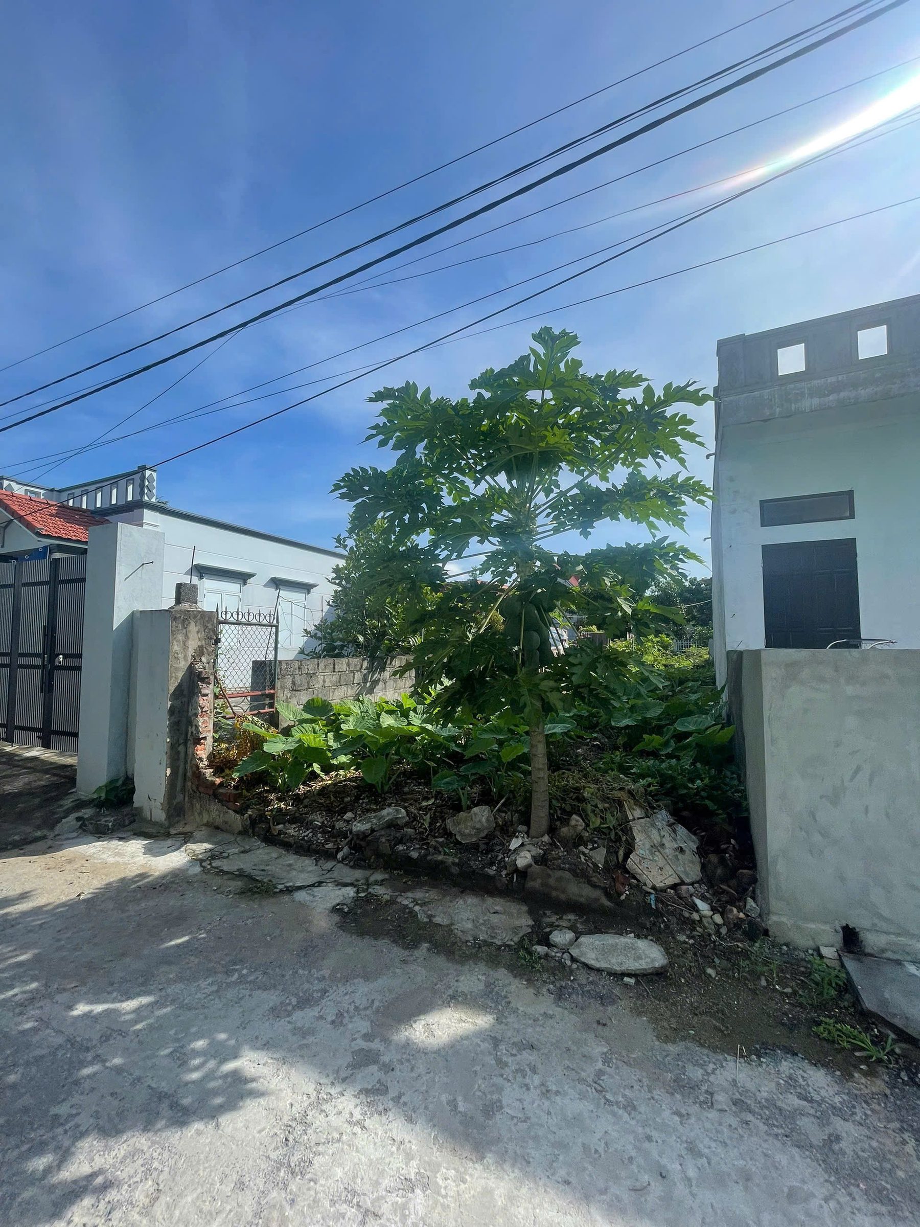 1HK63.7 🌟 MẶT ĐƯỜNG NHỰA THÔNG CAO BỘ ĐẠI HÀ - 63,7M² ĐẤT ĐẸP KINH DOANH - ZÁ 1 TỶ 2XX