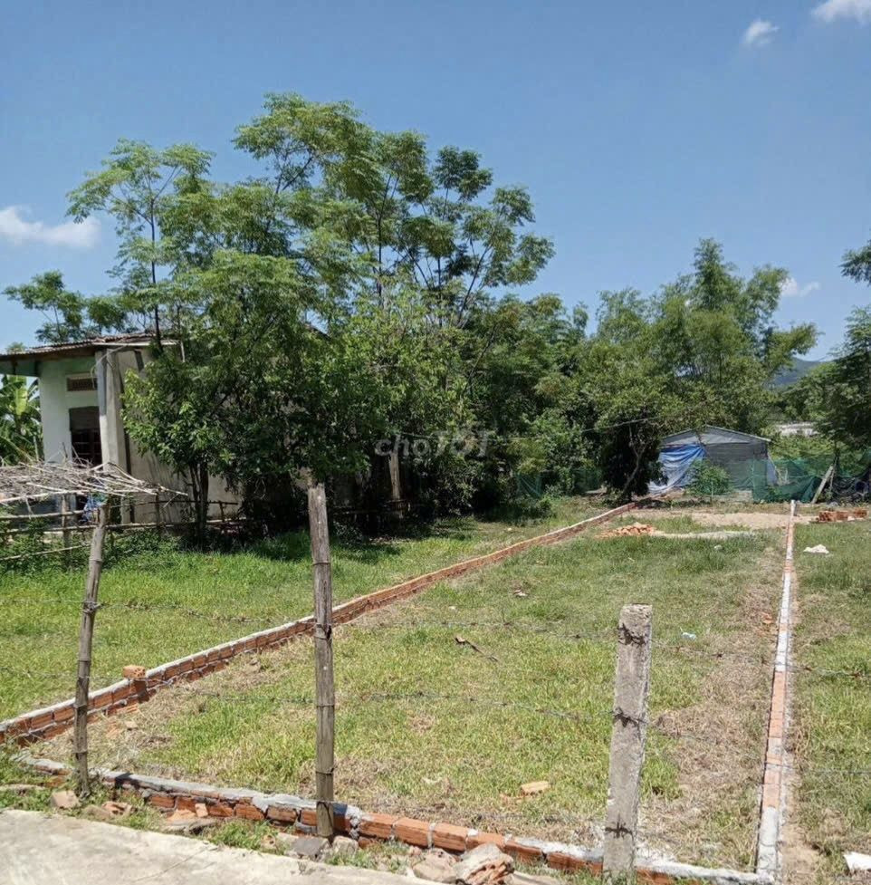Chính chủ cần bán lô đất 225m2 - Phú Trung 6, Xã Đại Hiệp, Huyện Đại Lộc, Quảng Nam
