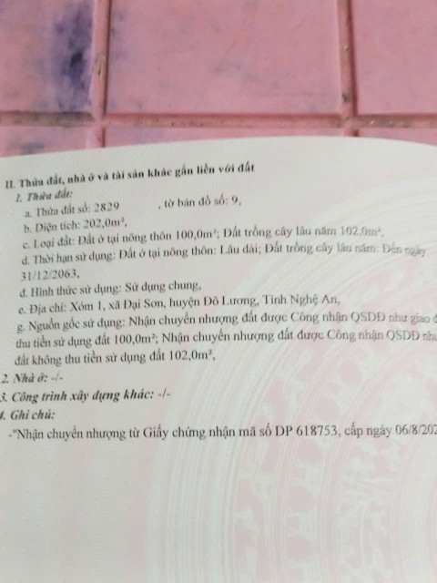 ĐẤT ĐẸP - GIÁ ĐẦU TƯ RẺ - CHÍNH CHỦ CẦN BÁN 2 Lô Đất Vị Trí Đẹp TẠI Đại Sơn, Đô lương, Nghệ An
