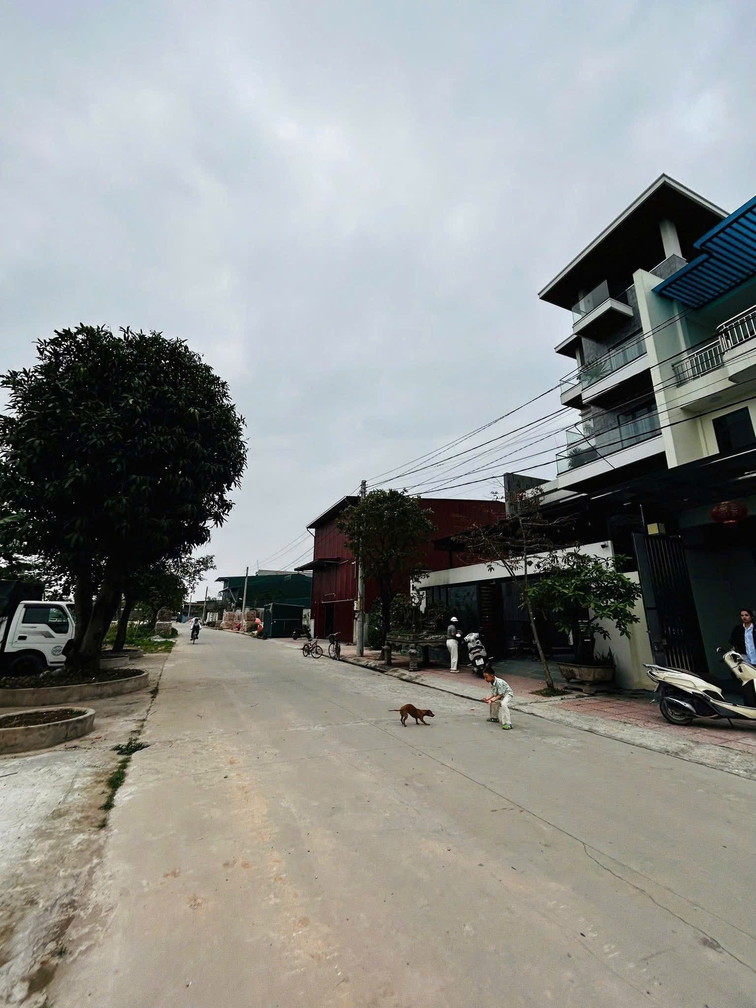 Bán đất 2 lô đấu giá Văn Hội, Đại Thắng Phú Xuyên khu làng nghề cao cấp