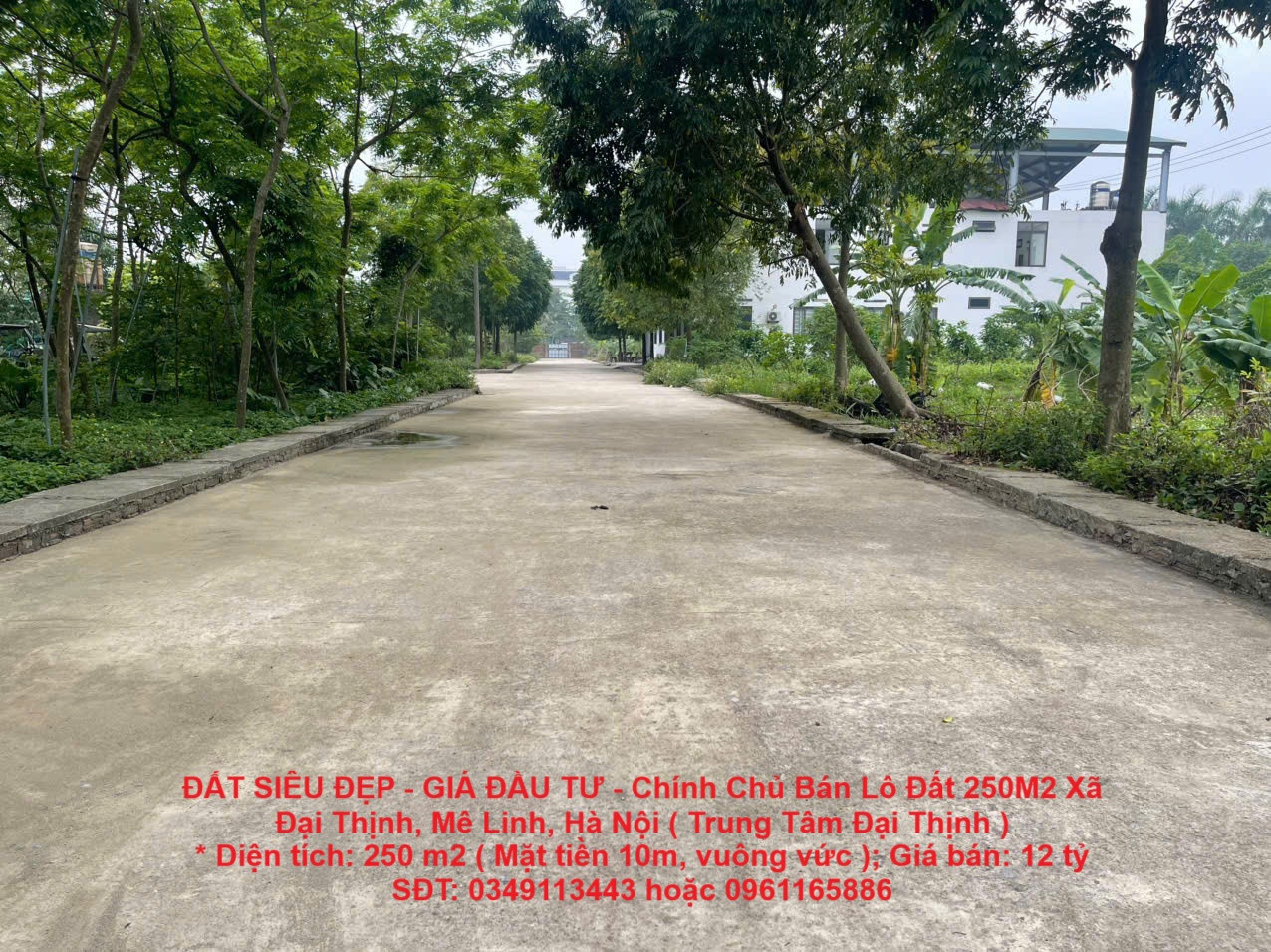 ĐẤT SIÊU ĐẸP - GIÁ ĐẦU TƯ - Chính Chủ Bán Lô Đất 250M2 Xã Đại Thịnh, Mê Linh, Hà Nội ( Trung Tâm Đại Thịnh )
