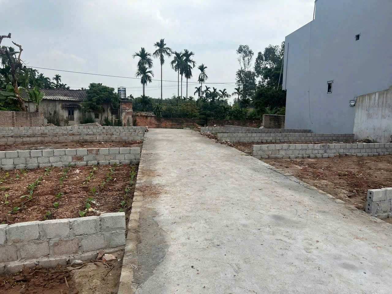Bán Đất 45m² thổ cư 45m² giá 1.65 tỷ tại Xã Đại Xuyên Hà Nội