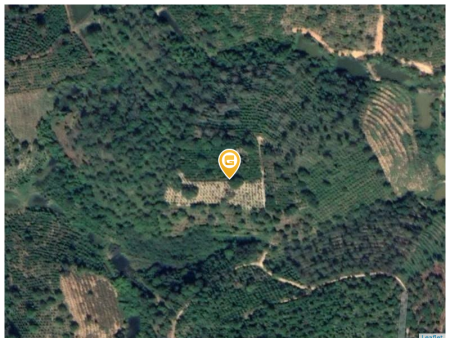 Bán đất 95000m² 2 tỷ tại Xã Đắk Drô Huyện Krông Nô